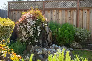 1636 Caulfield Ln, Petaluma, CA 94954 - Photo 33