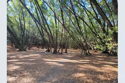 2151 Danberry Lane, San Rafael, CA 94903 - Photo 45