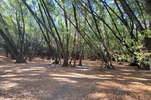 2151 Danberry Ln, San Rafael, CA 94903 - Photo 45