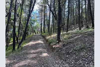 73046 Hill Road, Covelo, CA 95428 - Photo 15