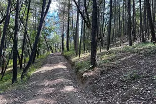 73046 Hill Rd, Covelo, CA 95428 - Photo 15