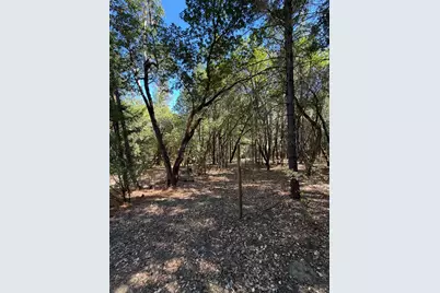 73046 Hill Road, Covelo, CA 95428 - Photo 39