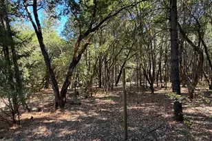 73046 Hill Rd, Covelo, CA 95428 - Photo 39