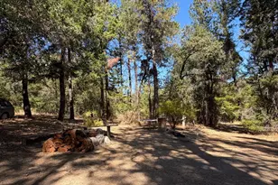73046 Hill Rd, Covelo, CA 95428 - Photo 11