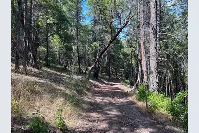 73046 Hill Road, Covelo, CA 95428 - Photo 13