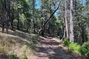 73046 Hill Rd, Covelo, CA 95428 - Photo 13