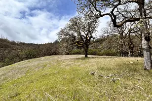 8401 Brandywine Dr, Ukiah, CA 95482 - Photo 73