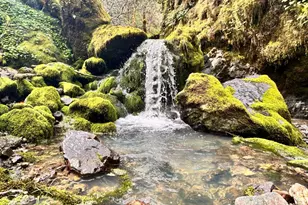 8401 Brandywine Dr, Ukiah, CA 95482 - Photo 3