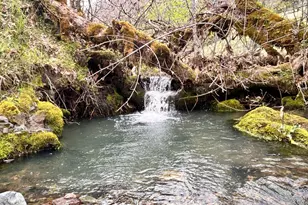 8401 Brandywine Dr, Ukiah, CA 95482 - Photo 49