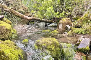 8401 Brandywine Dr, Ukiah, CA 95482 - Photo 41