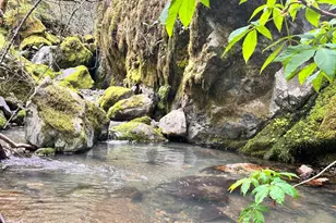 8401 Brandywine Dr, Ukiah, CA 95482 - Photo 43