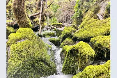 8401 Brandywine Drive, Ukiah, CA 95482 - Photo 45