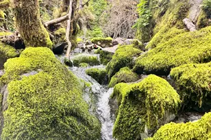 8401 Brandywine Dr, Ukiah, CA 95482 - Photo 45