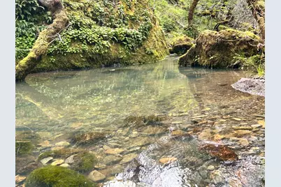 8401 Brandywine Drive, Ukiah, CA 95482 - Photo 39