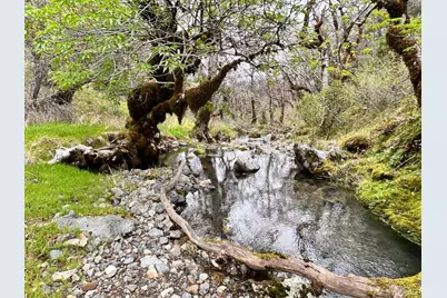 8401 Brandywine Drive, Ukiah, CA 95482 - Photo 51