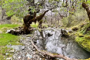 8401 Brandywine Dr, Ukiah, CA 95482 - Photo 51