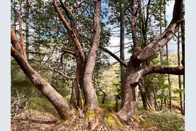 8401 Brandywine Drive, Ukiah, CA 95482 - Photo 63