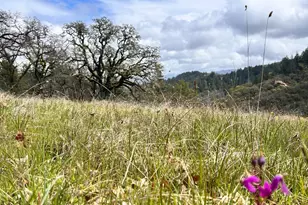 8401 Brandywine Dr, Ukiah, CA 95482 - Photo 69