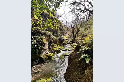 8401 Brandywine Drive, Ukiah, CA 95482 - Photo 59