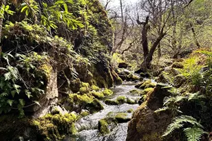 8401 Brandywine Dr, Ukiah, CA 95482 - Photo 59