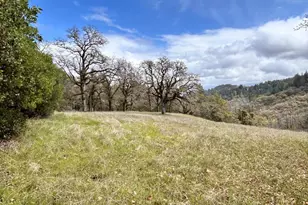 8401 Brandywine Dr, Ukiah, CA 95482 - Photo 5