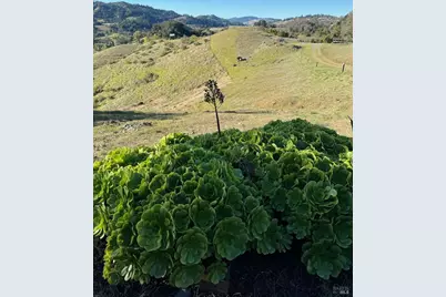 34996 Highway 128 Highway, Cloverdale, CA 95425 - Photo 5