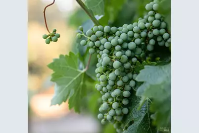 0 Aetna Springs Lane, Pope Valley, CA 94567 - Photo 5