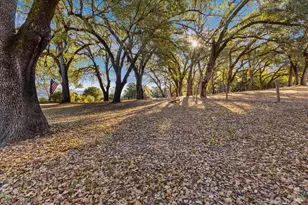 350 Canyon Rd, Geyserville, CA 95441 - Photo 31