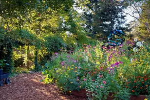 4038 E 3rd Ave, Napa, CA 94558 - Photo 71