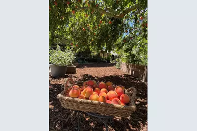 4038 E 3rd Avenue, Napa, CA 94558 - Photo 33