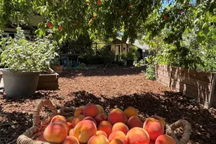 4038 E 3rd Ave, Napa, CA 94558 - Photo 33