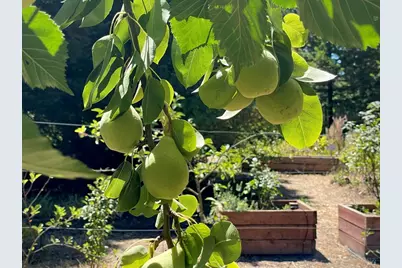 4038 E 3rd Avenue, Napa, CA 94558 - Photo 77