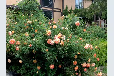 4038 E 3rd Avenue, Napa, CA 94558 - Photo 73