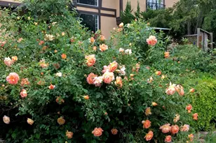 4038 E 3rd Ave, Napa, CA 94558 - Photo 73