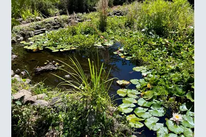 4038 E 3rd Avenue, Napa, CA 94558 - Photo 91