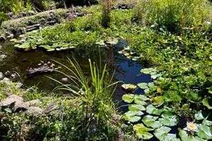 4038 E 3rd Ave, Napa, CA 94558 - Photo 91