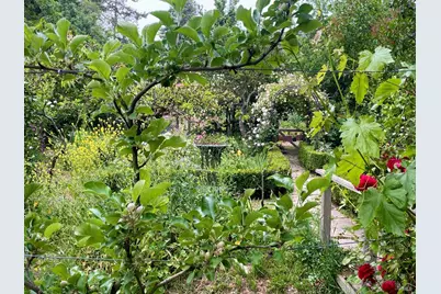 4038 E 3rd Avenue, Napa, CA 94558 - Photo 81