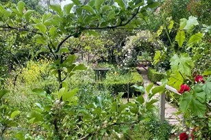 4038 E 3rd Ave, Napa, CA 94558 - Photo 81