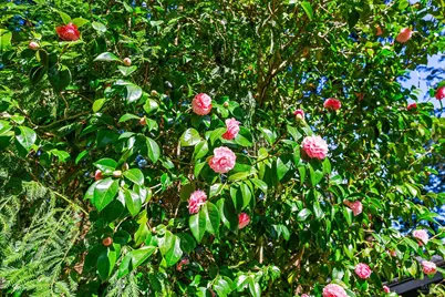 17450 Summit Avenue, Guerneville, CA 95446 - Photo 41