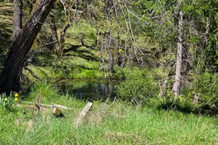 28201 Sherwood Rd, Willits, CA 95490 - Photo 5