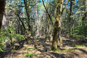 28201 Sherwood Rd, Willits, CA 95490 - Photo 13