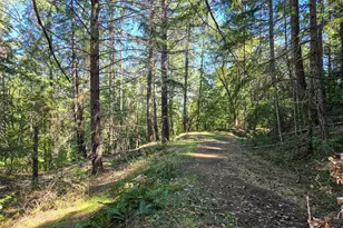 28201 Sherwood Rd, Willits, CA 95490 - Photo 11