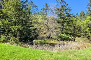 28201 Sherwood Rd, Willits, CA 95490 - Photo 7