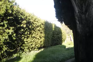 1911 Corby Ave, Santa Rosa, CA 95407 - Photo 3