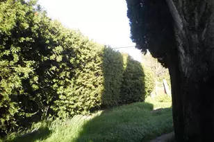 1911 Corby Ave, Santa Rosa, CA 95407 - Photo 7