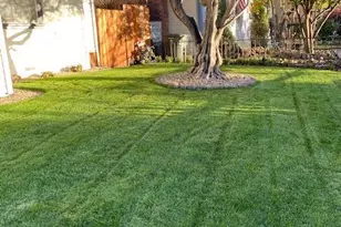 1016 Spring St, Santa Rosa, CA 95404 - Photo 83