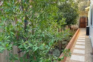 1016 Spring St, Santa Rosa, CA 95404 - Photo 87