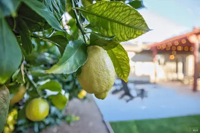 1056 Esparto Court, Windsor, CA 95492 - Photo 43