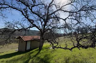 2544 Indian Hill Rd, Clearlake Oaks, CA 95423 - Photo 1