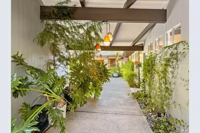 5 Mather Road, San Anselmo, CA 94960 - Photo 45